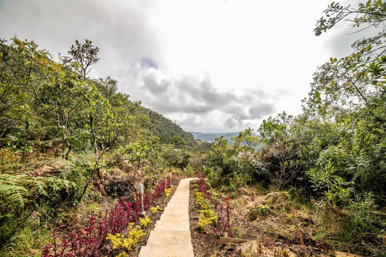 Cerro Verde Mirador Medellín Exteriér fotografie